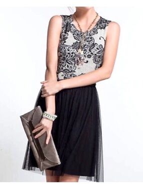 Anthropologie Weston Wear Dulcie Black Tulle Lace Bodice Fit & Flare Dress XS